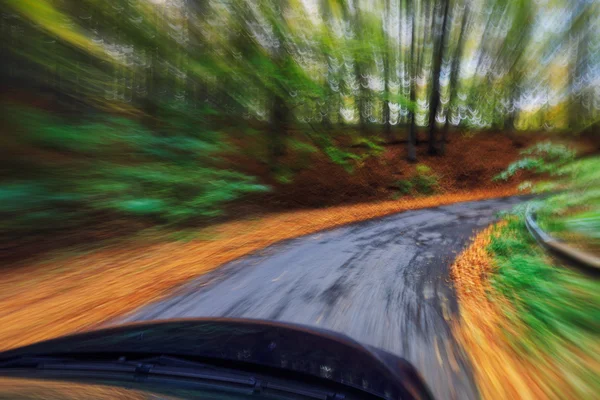 Car driving fast into forest — Stock Photo, Image