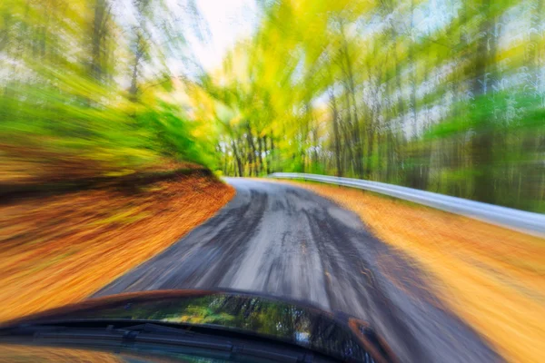 Car driving fast into forest — Stock Photo, Image