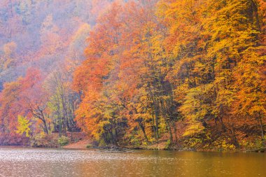 Sonbahar Gölü Hamori-Macaristan