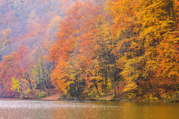 Lago de otoño Hamori-Hungría — Foto de Stock
