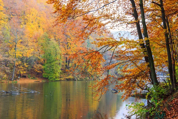 Autumn lake Hamori-Hungary — Stock Photo, Image