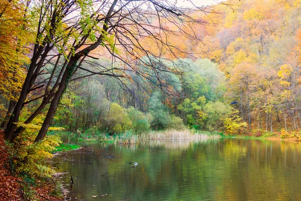 Høstsjøen Hamori-Ungarn – stockfoto