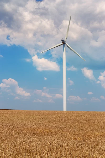 Vindgeneratorturbiner på vetefält — Stockfoto