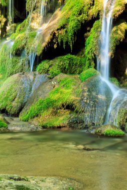 Cascada La Vaioaga Cheile Nerei Milli Parkı içinde