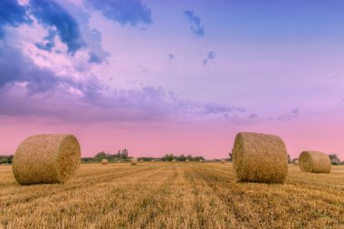 dramatik gökyüzü ile saman balya