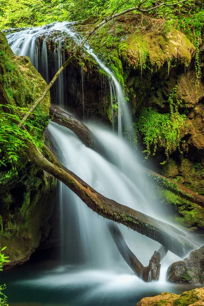 Cascada La Vaioaga no parque nacional Cheile Nerei — Fotografia de Stock