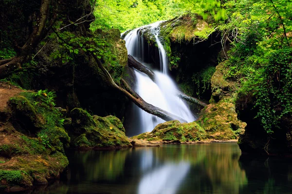 Cascada La Vaioaga Nerei-szoros Nemzeti Park — Stock Fotó