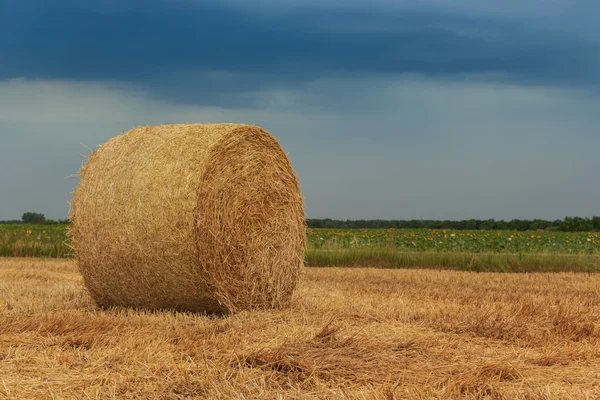 Straw bales with dramatic sky — Stock Photo, Image