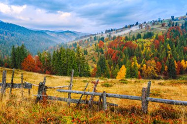 Renkli sonbahar manzara sahne Transylvania'da çit ile