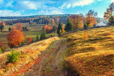 Karpatlar dağ Transilvanya sabah