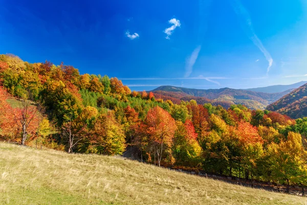 Färgglada Höstlandskap i Karpaterna — Stockfoto