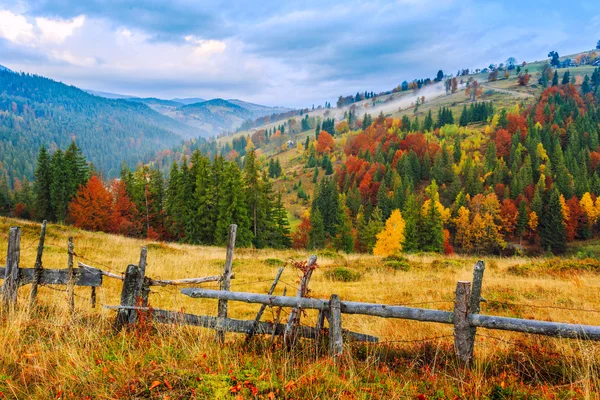 Barevný podzimní krajina scéna s plotem v Transylvánii — Stock fotografie