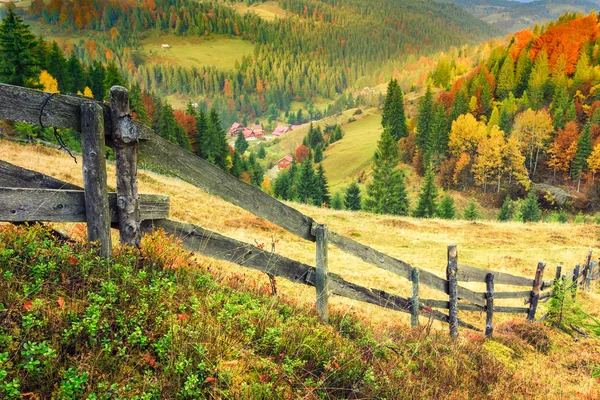 Bunte Herbstlandschaft mit Zaun in Transsilvanien — Stockfoto