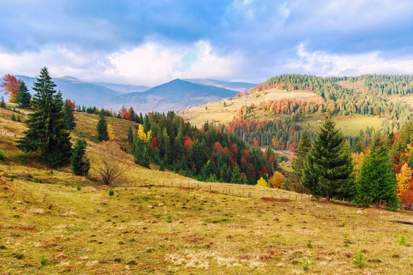 Colorido paisaje otoñal en las montañas de los Cárpatos —  Fotos de Stock