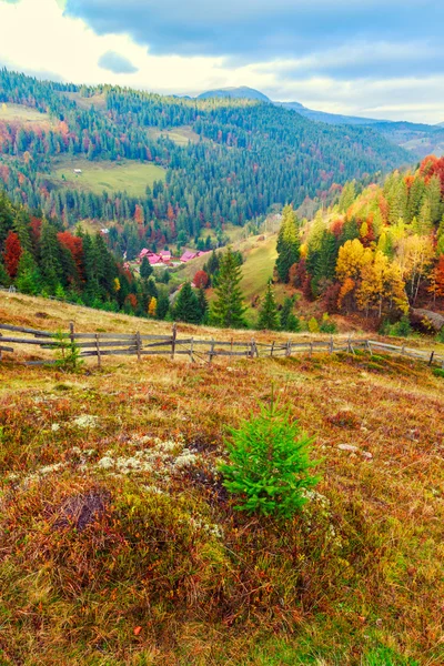 Rano w kolorowy krajobraz jesień w Rumunii — Zdjęcie stockowe