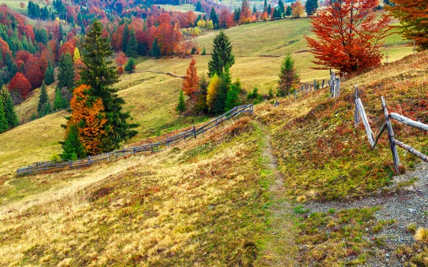 Πολύχρωμο φθινόπωρο τοπίο σκηνή με φράχτη στην Τρανσυλβανία — Φωτογραφία Αρχείου