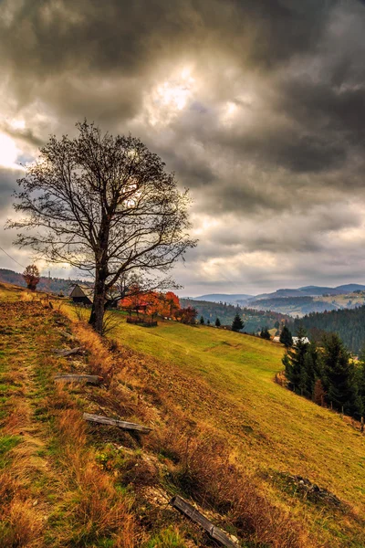 Mañana en colorido paisaje otoñal en Rumania — Foto de Stock