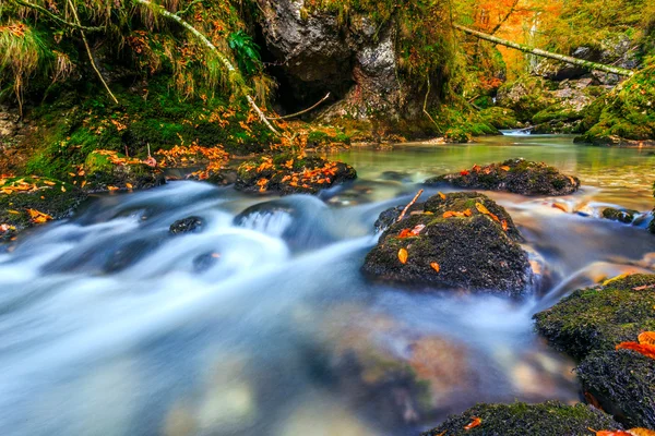 トランシルバニア山脈の森林の川カスケード — ストック写真