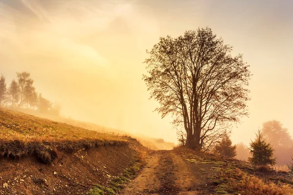 Pestré podzimní krajina silnici v horách v Transylvánii — Stock fotografie