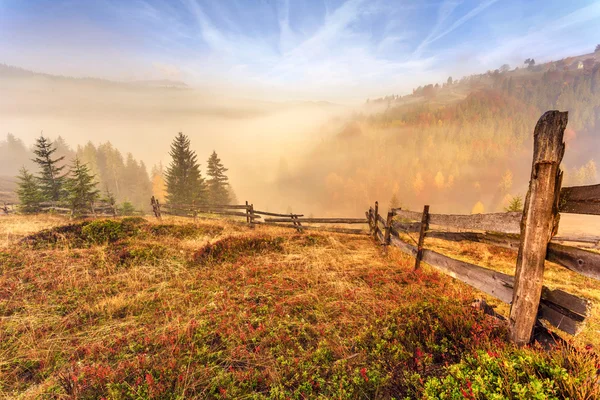 Barevný podzimní krajina scéna s plotem v Transylvánii — Stock fotografie