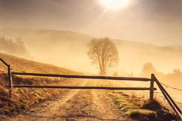 La mañana del amanecer en la montaña de los Cárpatos en Transilvania — Foto de Stock