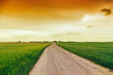 Yaz yeşil çimen, yatay, yol