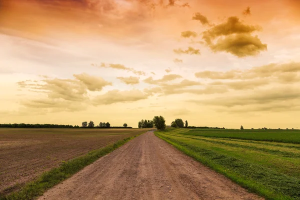 Dirty road to dramatic sky — Stock Photo, Image