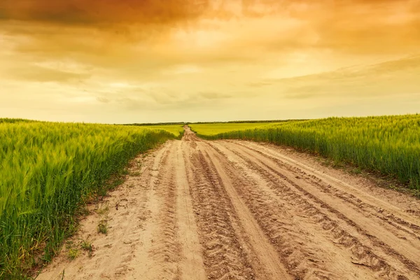 Zomer landschap met groene gras, weg — Stockfoto