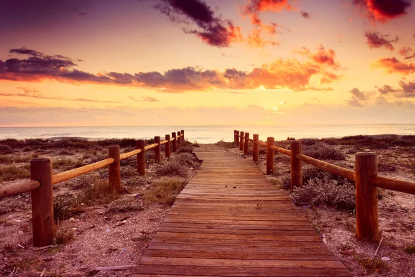 Playa del atardecer —  Fotos de Stock