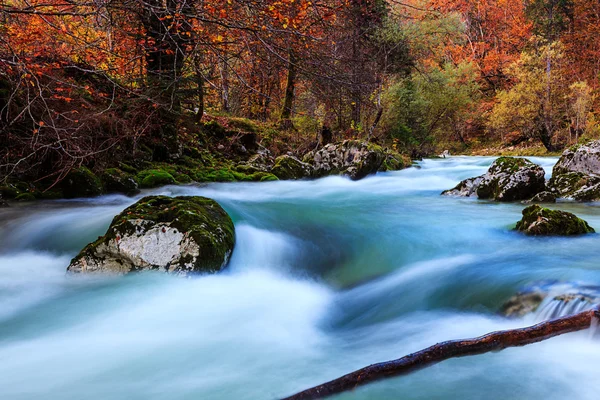 Sonbahar nehir Mostnica — Stok fotoğraf