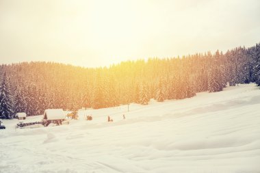 kış orman içinde güzel gün batımı