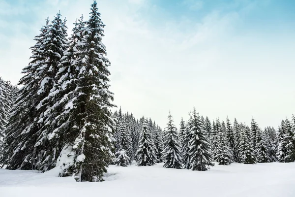 Paisaje invernal en las montañas Julian Alps — Foto de Stock