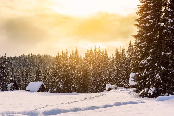Vinterferiehus i sloveniaalper – stockfoto