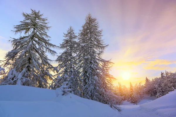 Beautifull sunset ski center of Vogel — Stock Photo, Image