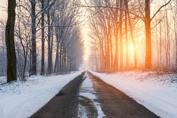 Landelijke weg winterochtend — Stockfoto