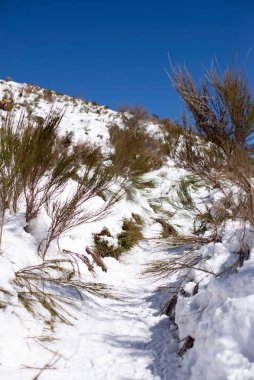 Bulutlu gökyüzü olan bir kar manzarası tepesine yakın.
