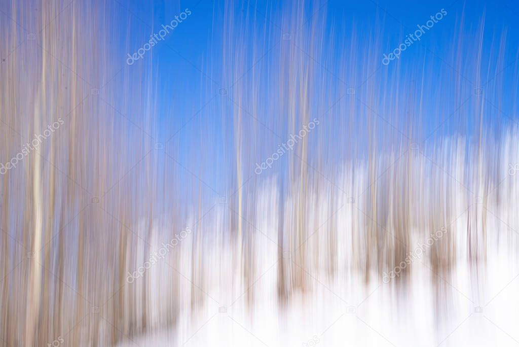 blurred winter landscape view of trees covered with snow