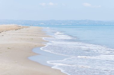 Vahşi bir sahilin yan görüntüsü