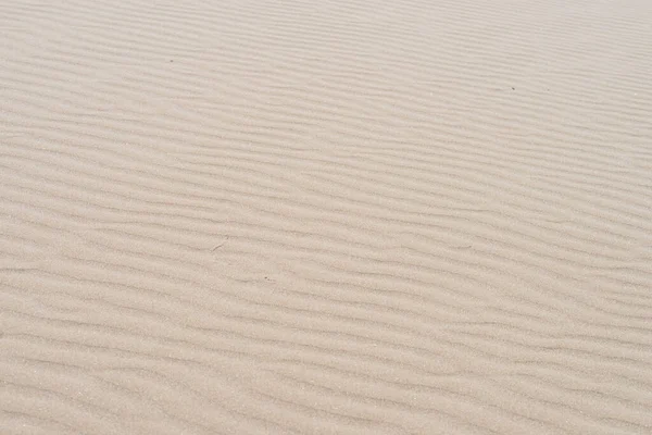 波模様の砂質の背景 — ストック写真