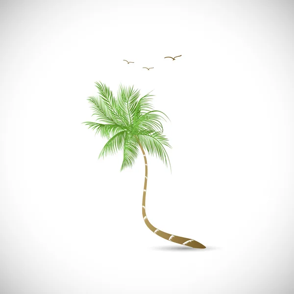 Пальмова дерево ілюстрація — стоковий вектор