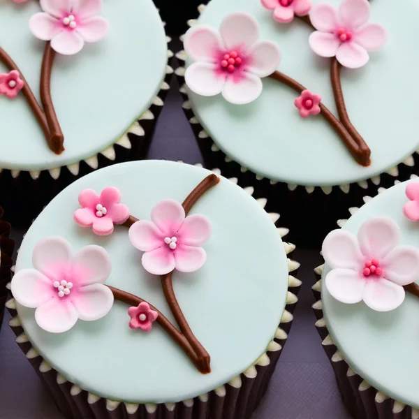 Kiraz çiçeği cupcakes — Stok fotoğraf