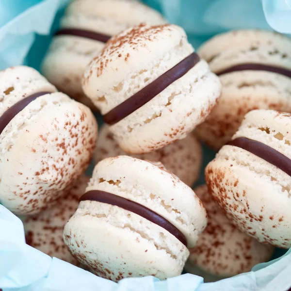 초콜릿 macarons — 스톡 사진