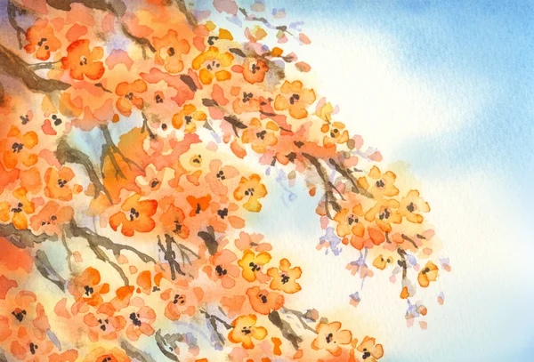 Flowering branches. Watercolour background — Stock Photo, Image