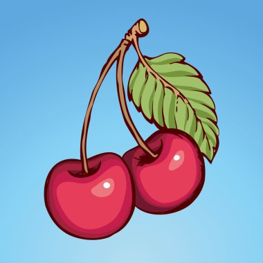 Kiraz. Vektör çizim
