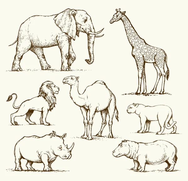 Des animaux africains. Dessin vectoriel — Image vectorielle