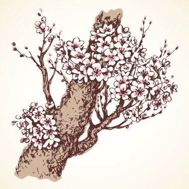 Çiçekli ağaç bahar. Vektör çizim