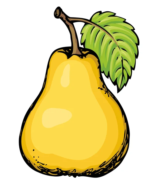 Pear. Vector drawing — Stock Vector