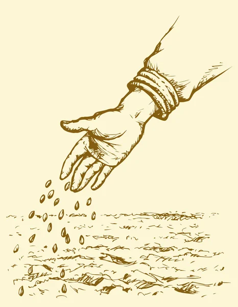 Hand zaaizaad in geploegd veld. Vector tekening — Stockvector