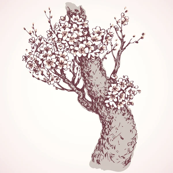 Árbol con flores de primavera. Dibujo vectorial — Vector de stock