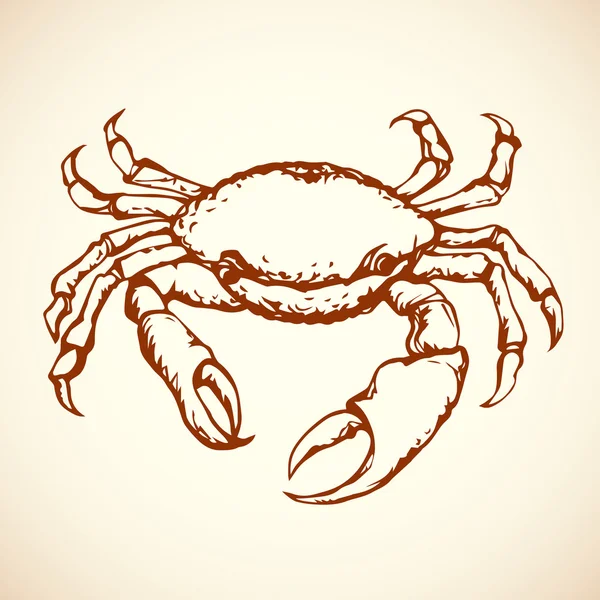 Crabe. Dessin vectoriel — Image vectorielle